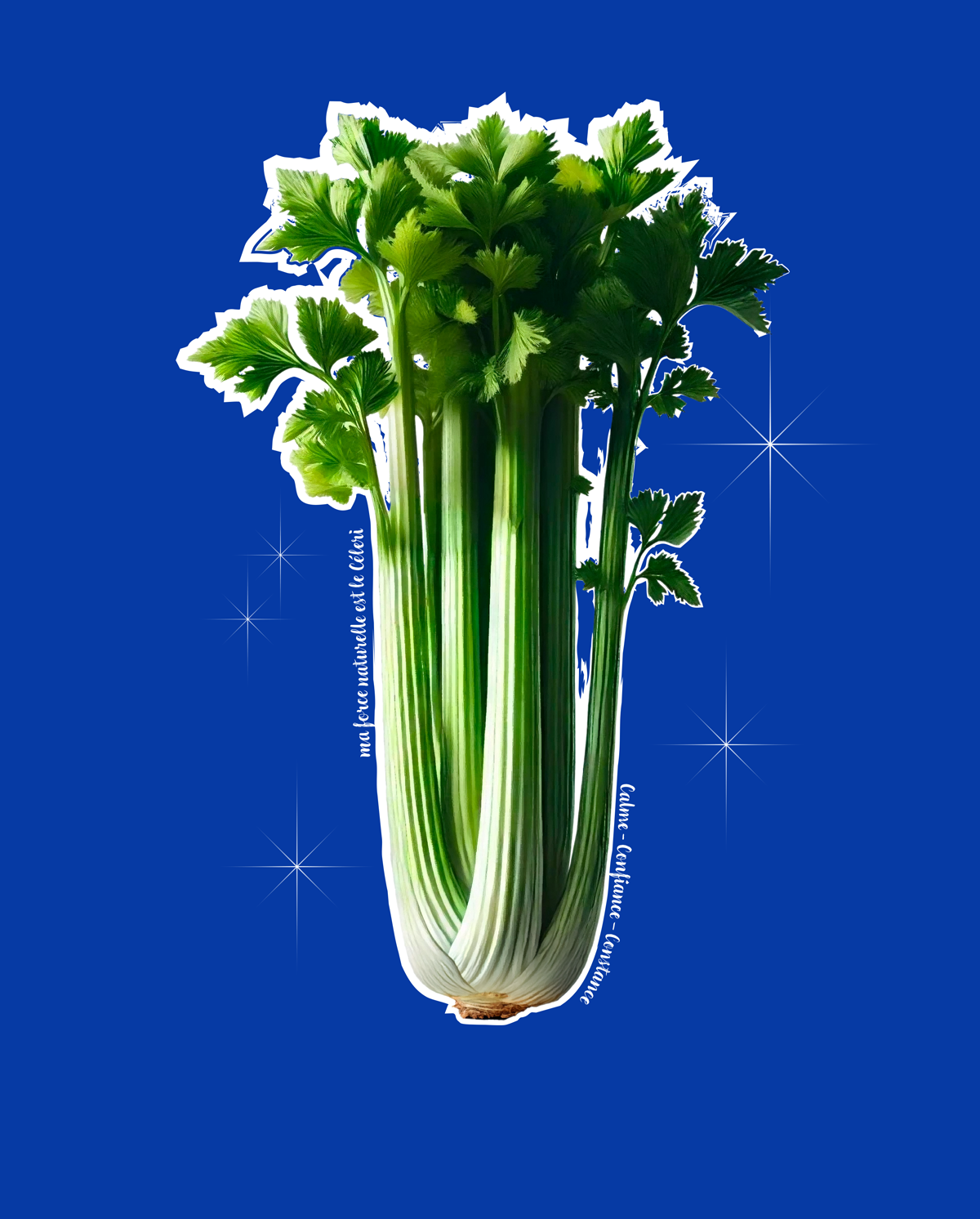 CÉLERI 🌿