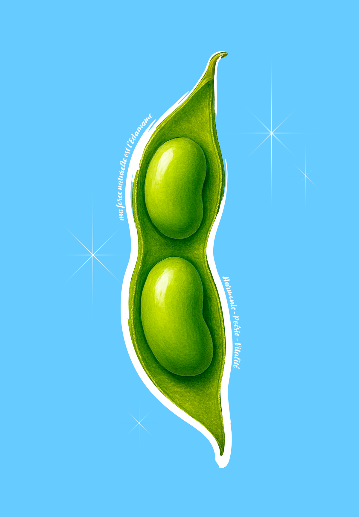 EDAMAME 🌸